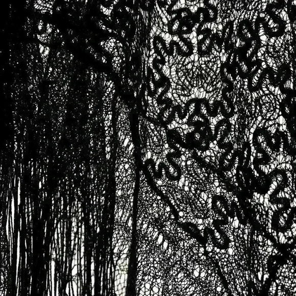 Black Lace  Fringe Poncho - Picture 4 of 7